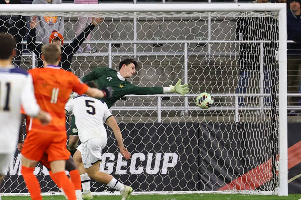 活性和出色 活性和出色